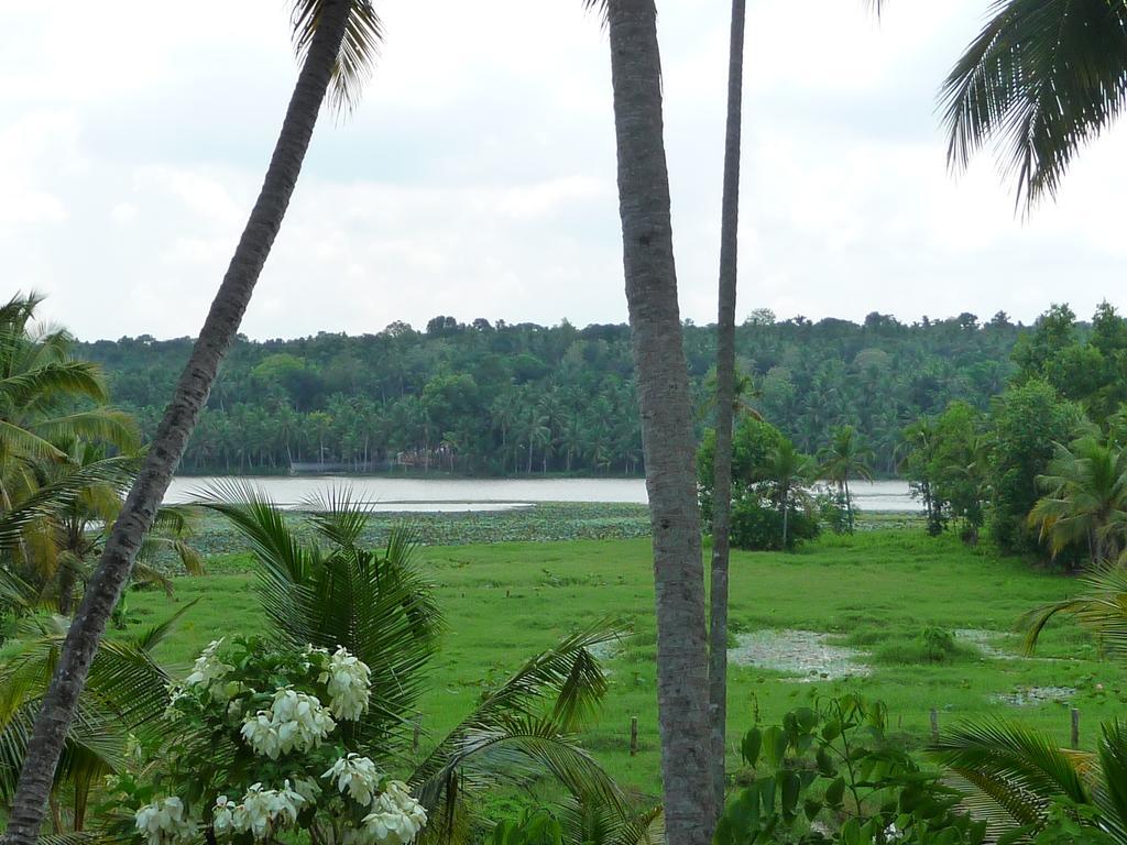 Ganesh Ayurveda Holiday Home Apartment Kovalam Extérieur photo